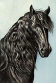 Friesian, Equine Art - Strength (Friesian)